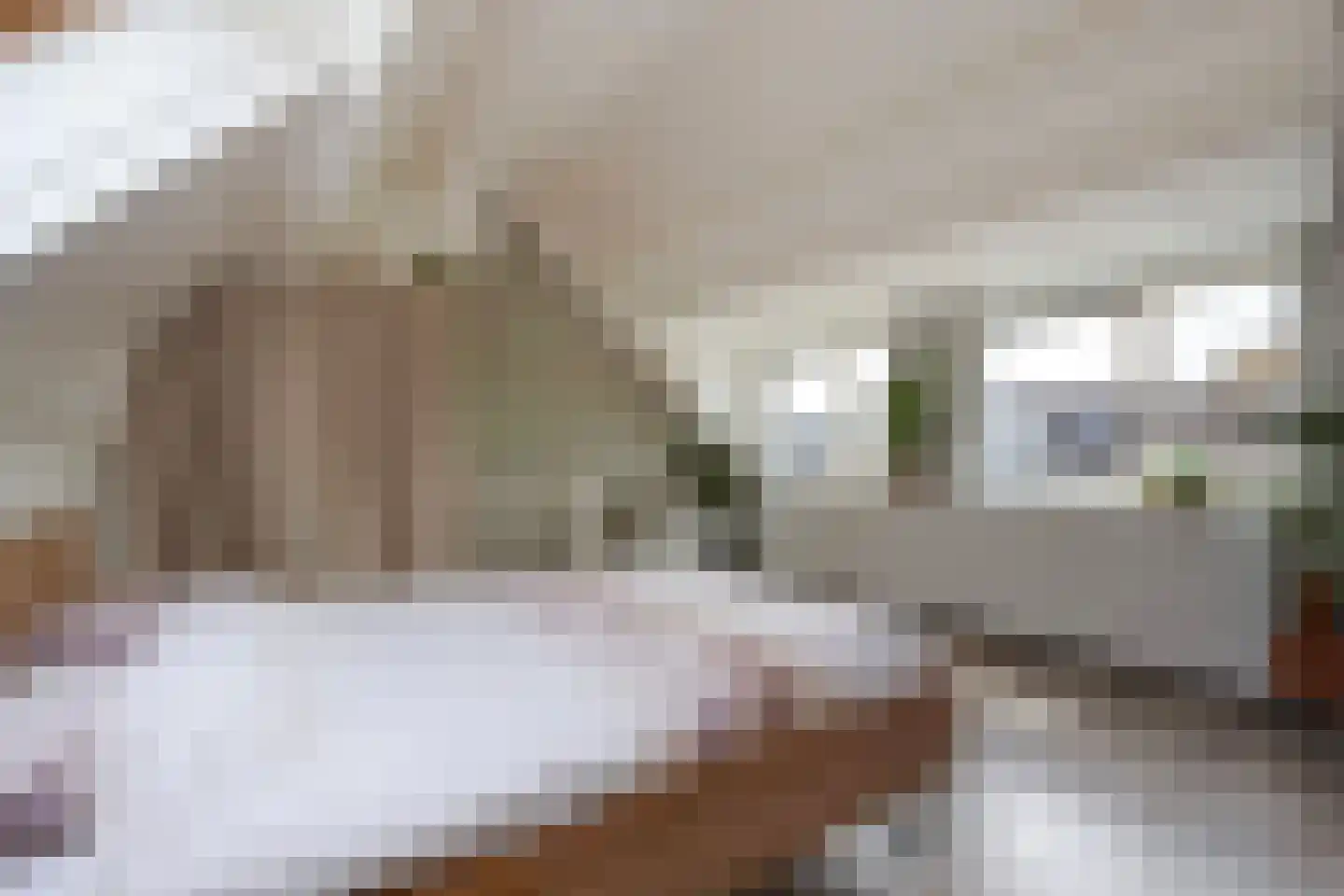 Aakwerf 23 Zoetermeer thumbnail 40