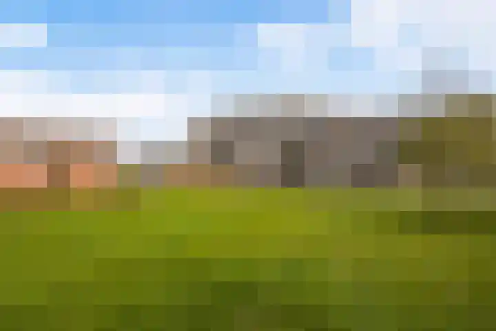 Aakwerf 23 Zoetermeer thumbnail 43