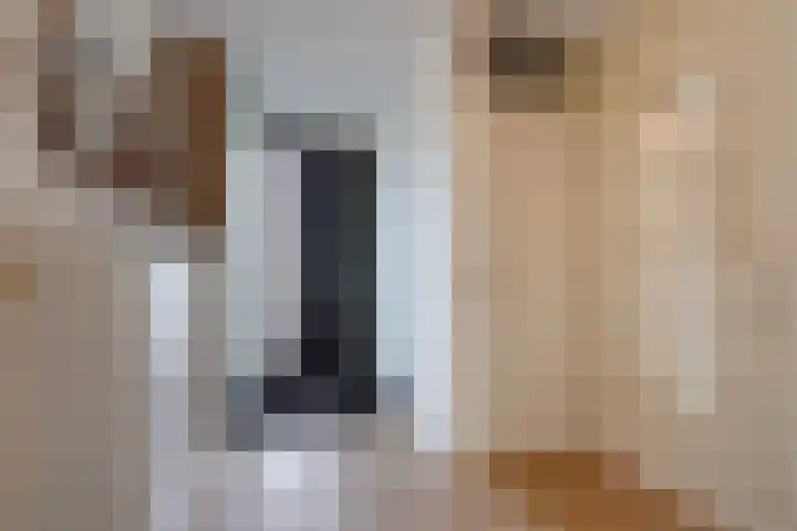 Aakwerf 23 Zoetermeer thumbnail 8