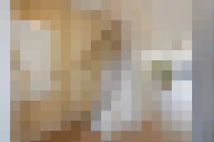 Aakwerf 23 Zoetermeer thumbnail 9