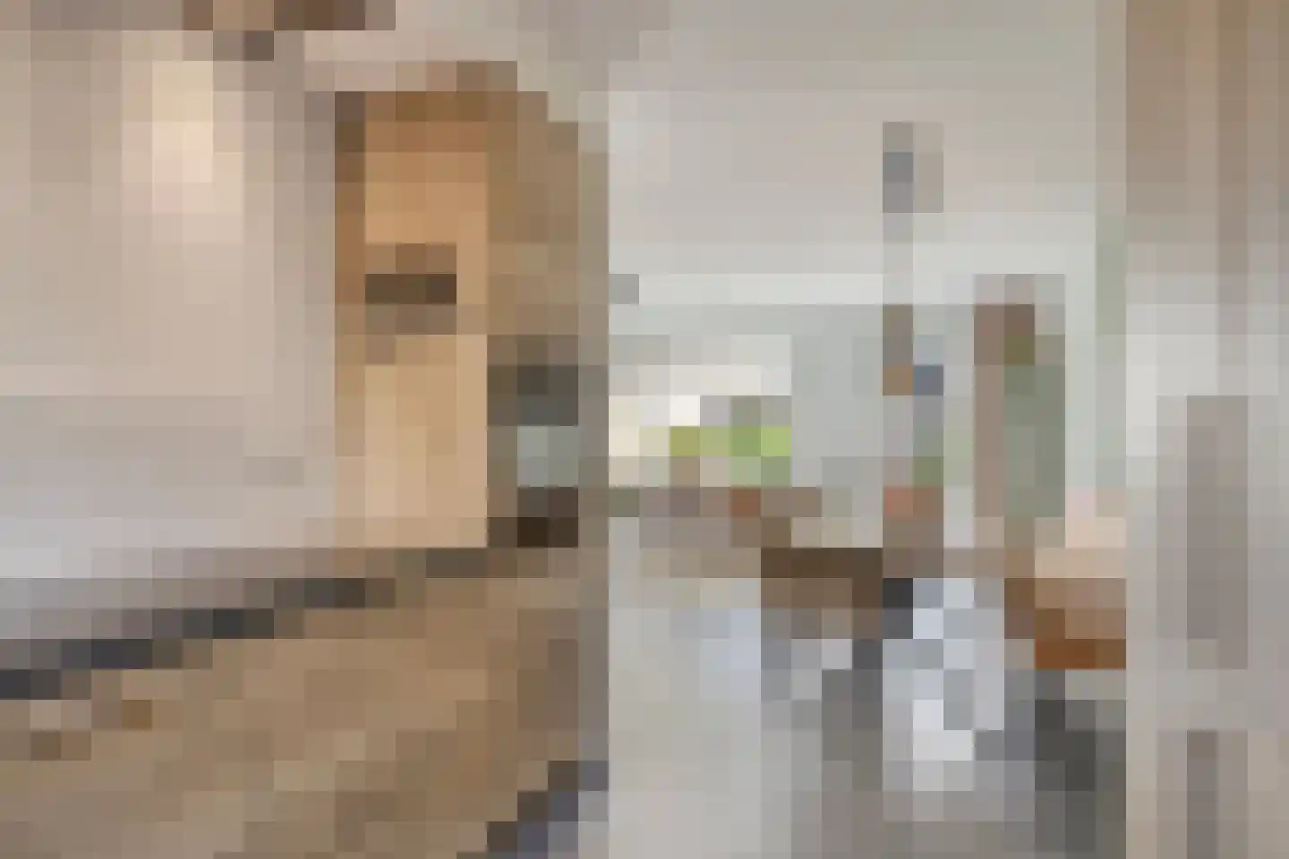 Aakwerf 3 Gouda thumbnail 11