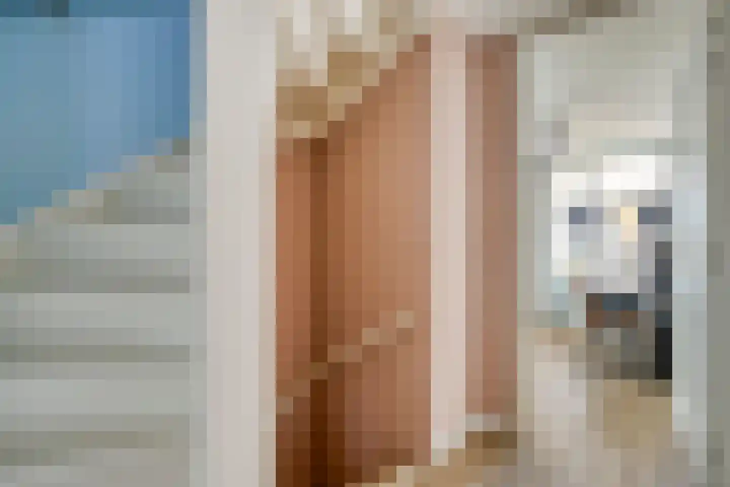Aakwerf 3 Gouda thumbnail 28