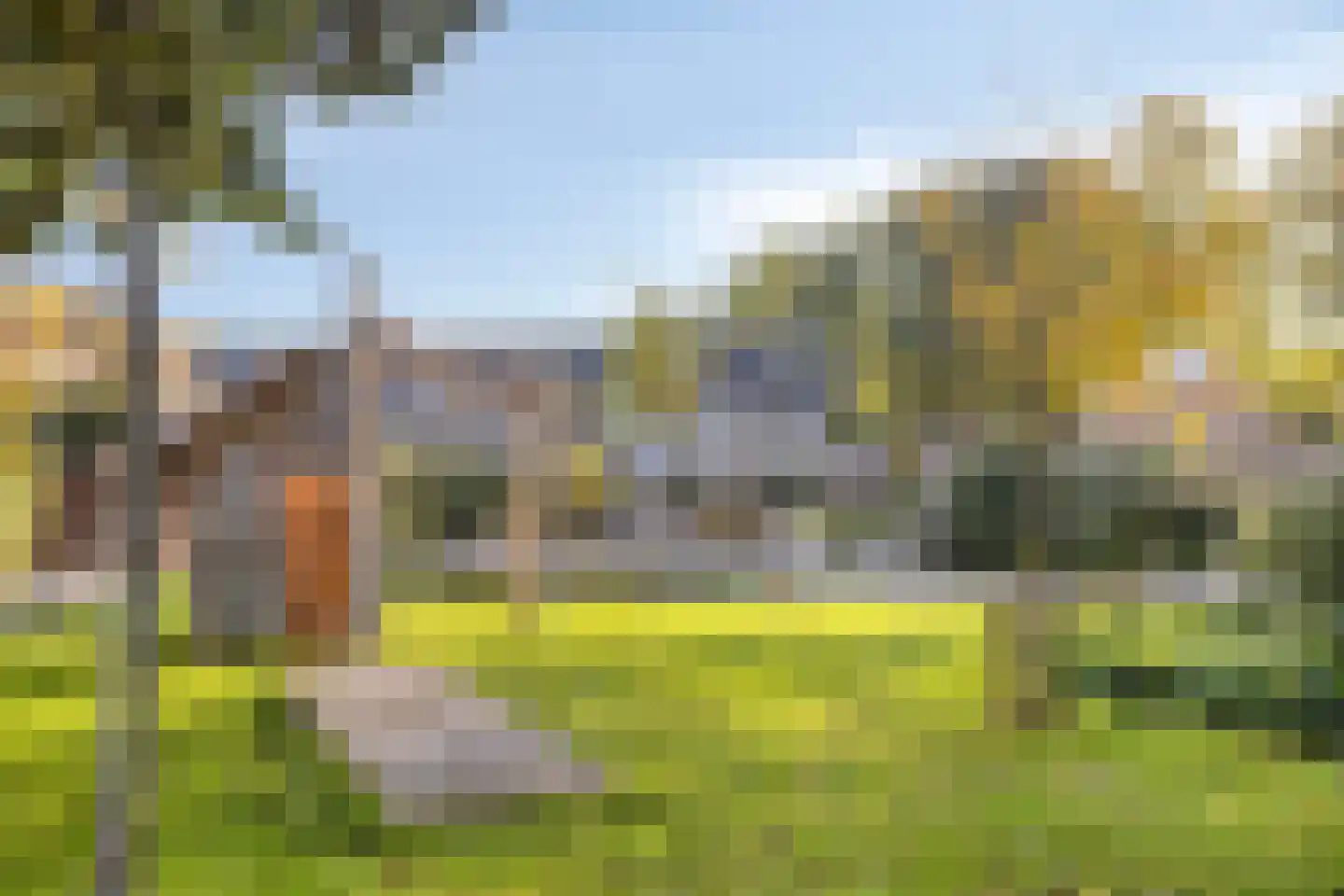 Aakwerf 3 Gouda thumbnail 32