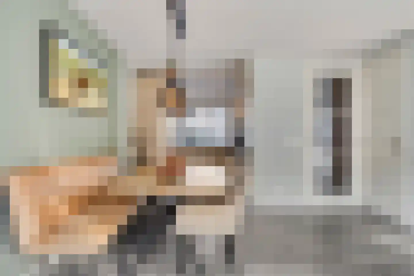 Aakwerf 3 Gouda thumbnail 9