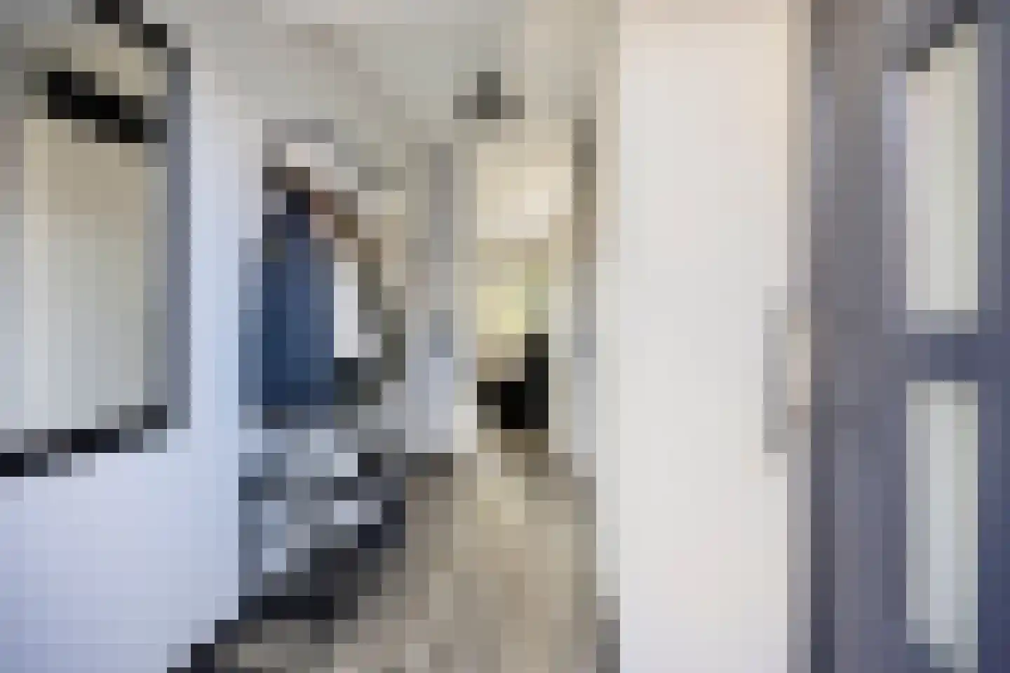 Aakwerf 8 Gouda thumbnail 10