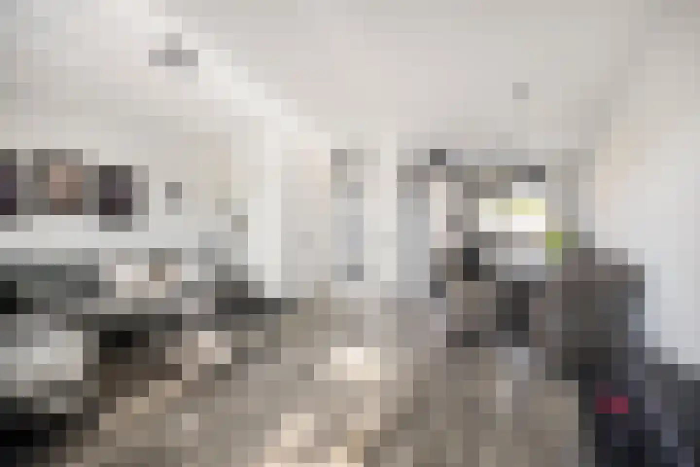Aakwerf 8 Gouda thumbnail 14