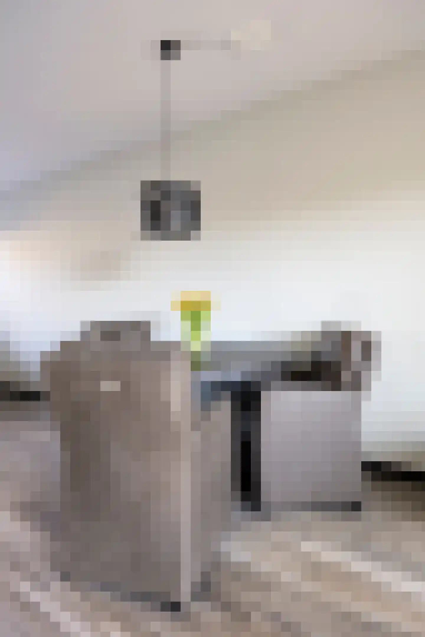Aakwerf 8 Gouda thumbnail 17