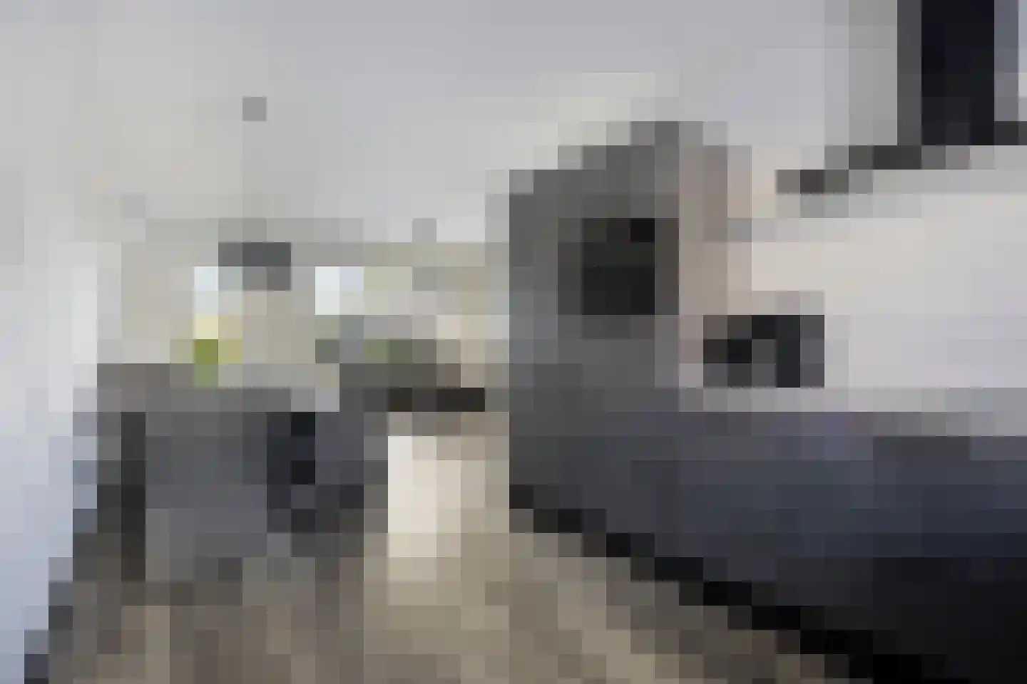 Aakwerf 8 Gouda thumbnail 19