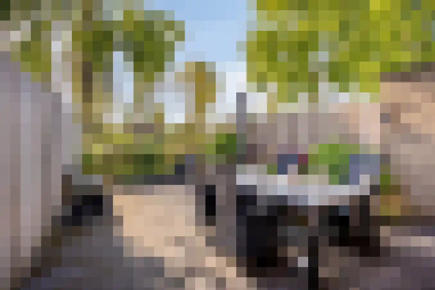 Aakwerf 8 Gouda thumbnail 22