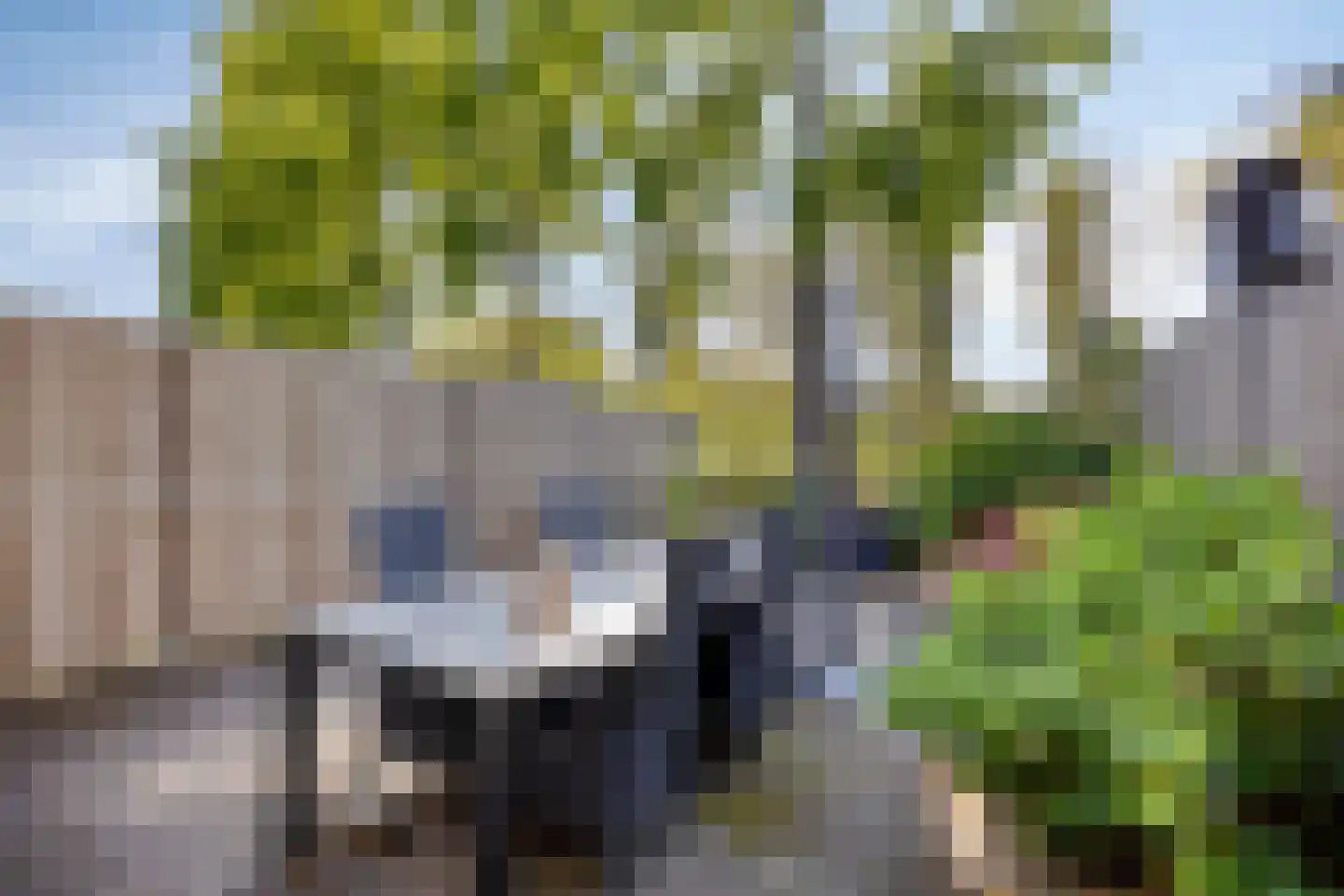 Aakwerf 8 Gouda thumbnail 23