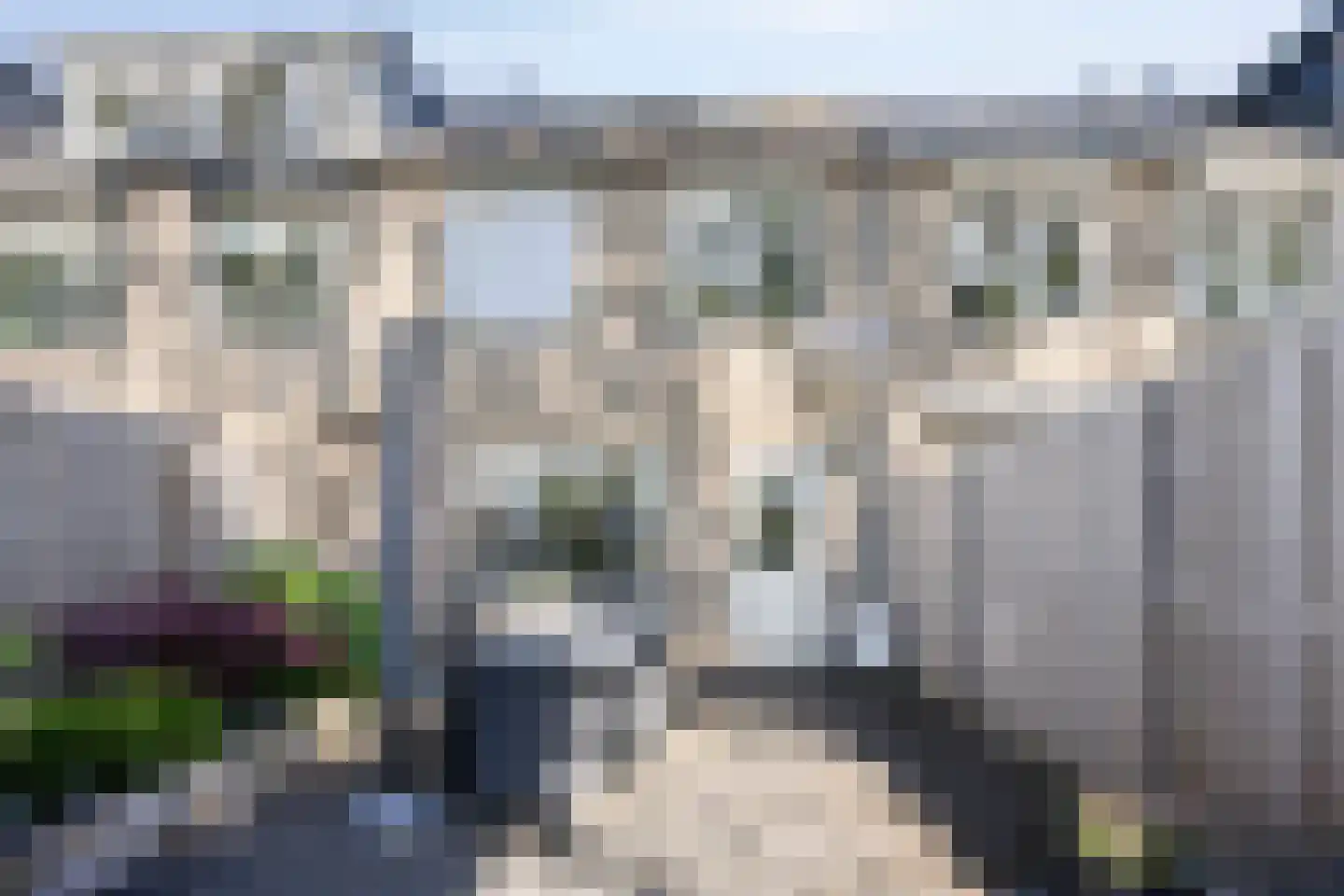 Aakwerf 8 Gouda thumbnail 24