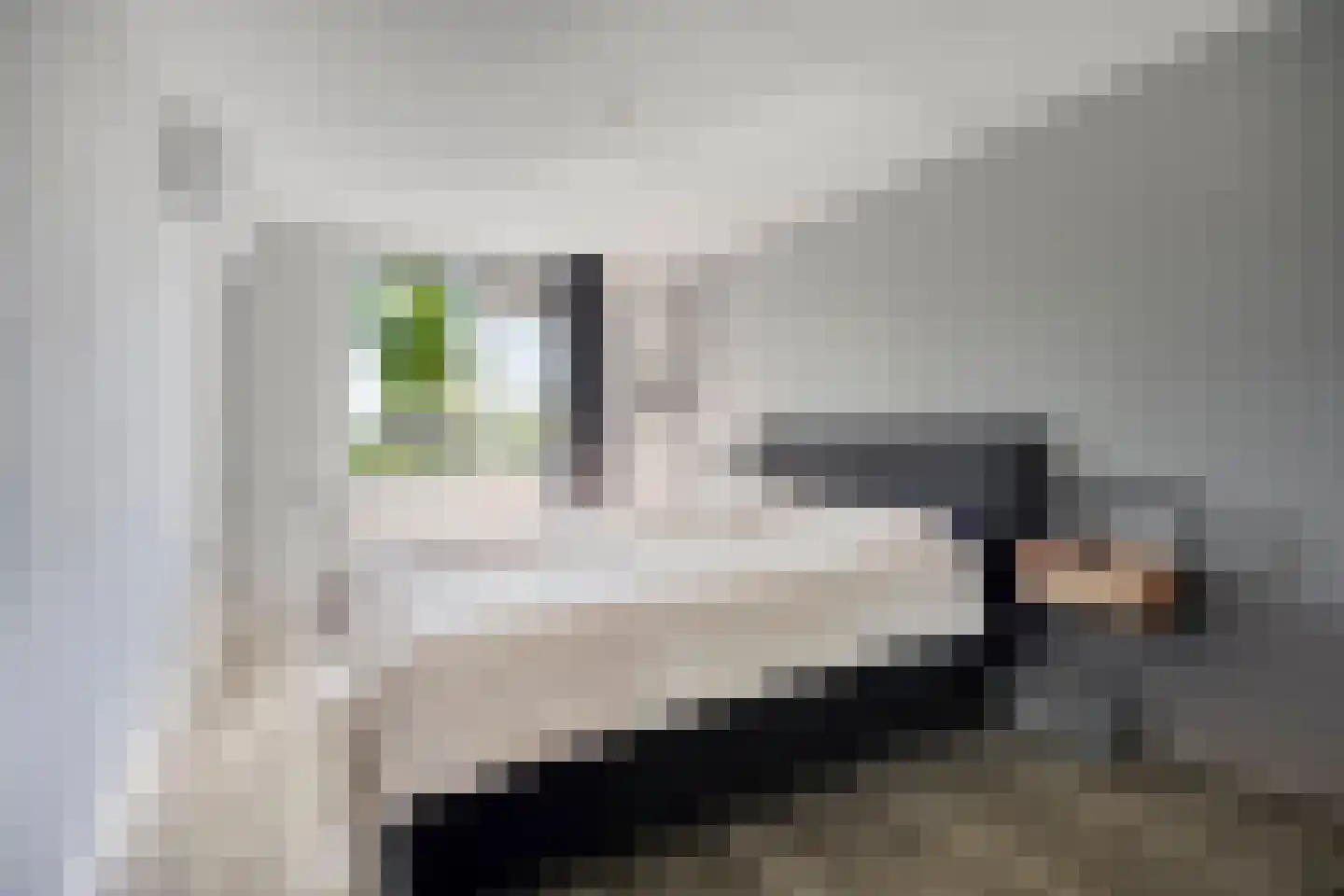 Aakwerf 8 Gouda thumbnail 26