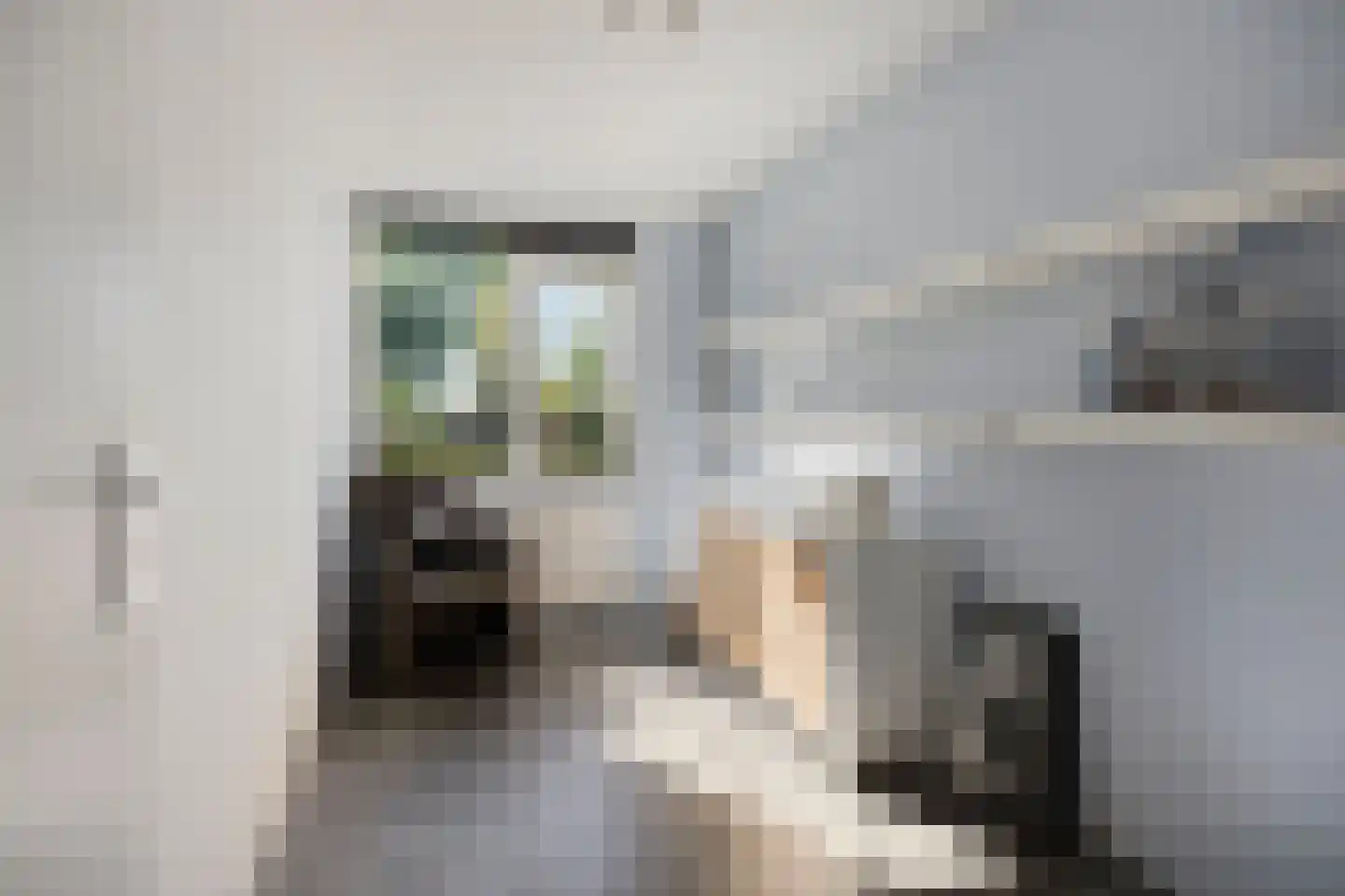 Aakwerf 8 Gouda thumbnail 29