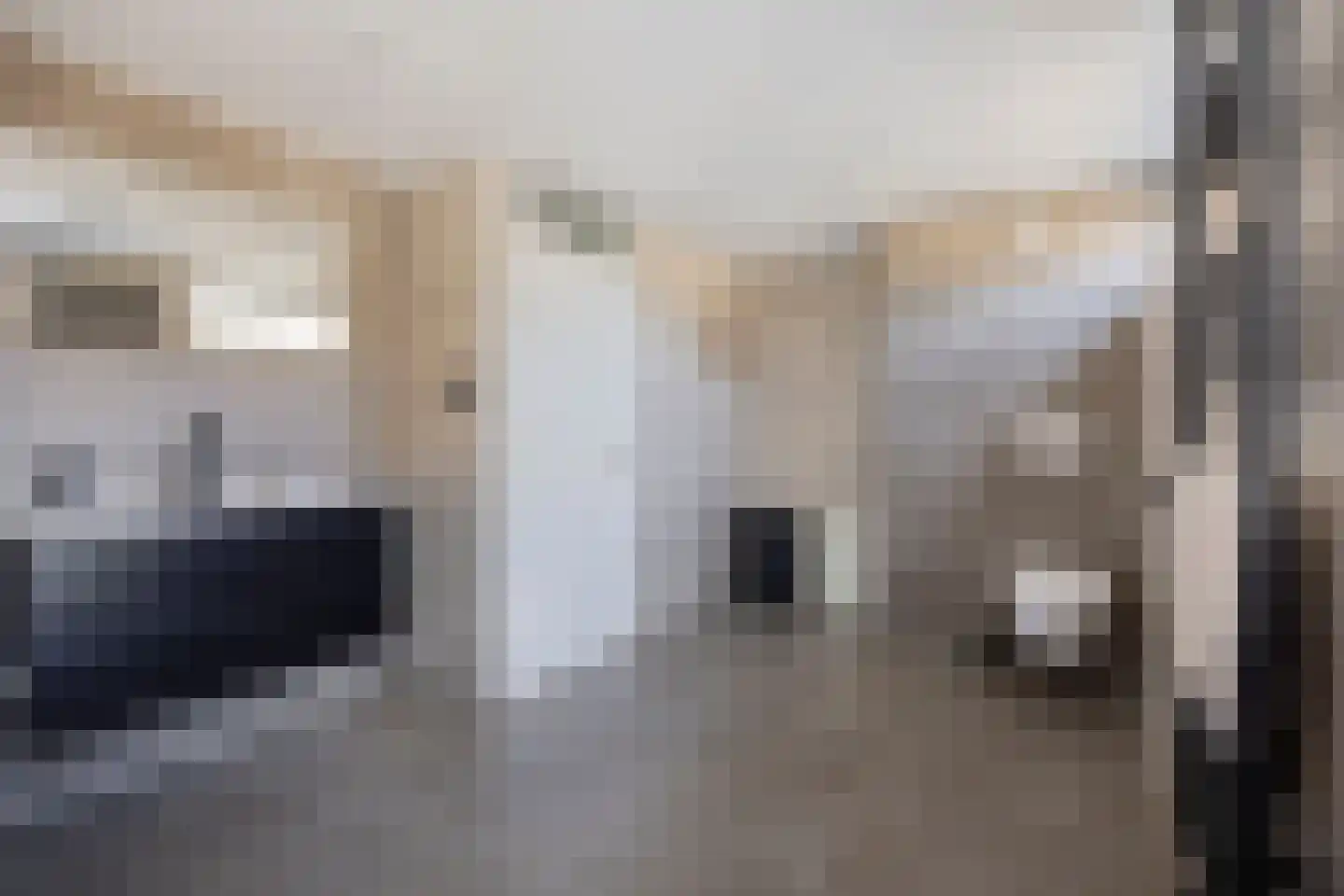 Aakwerf 8 Gouda thumbnail 30