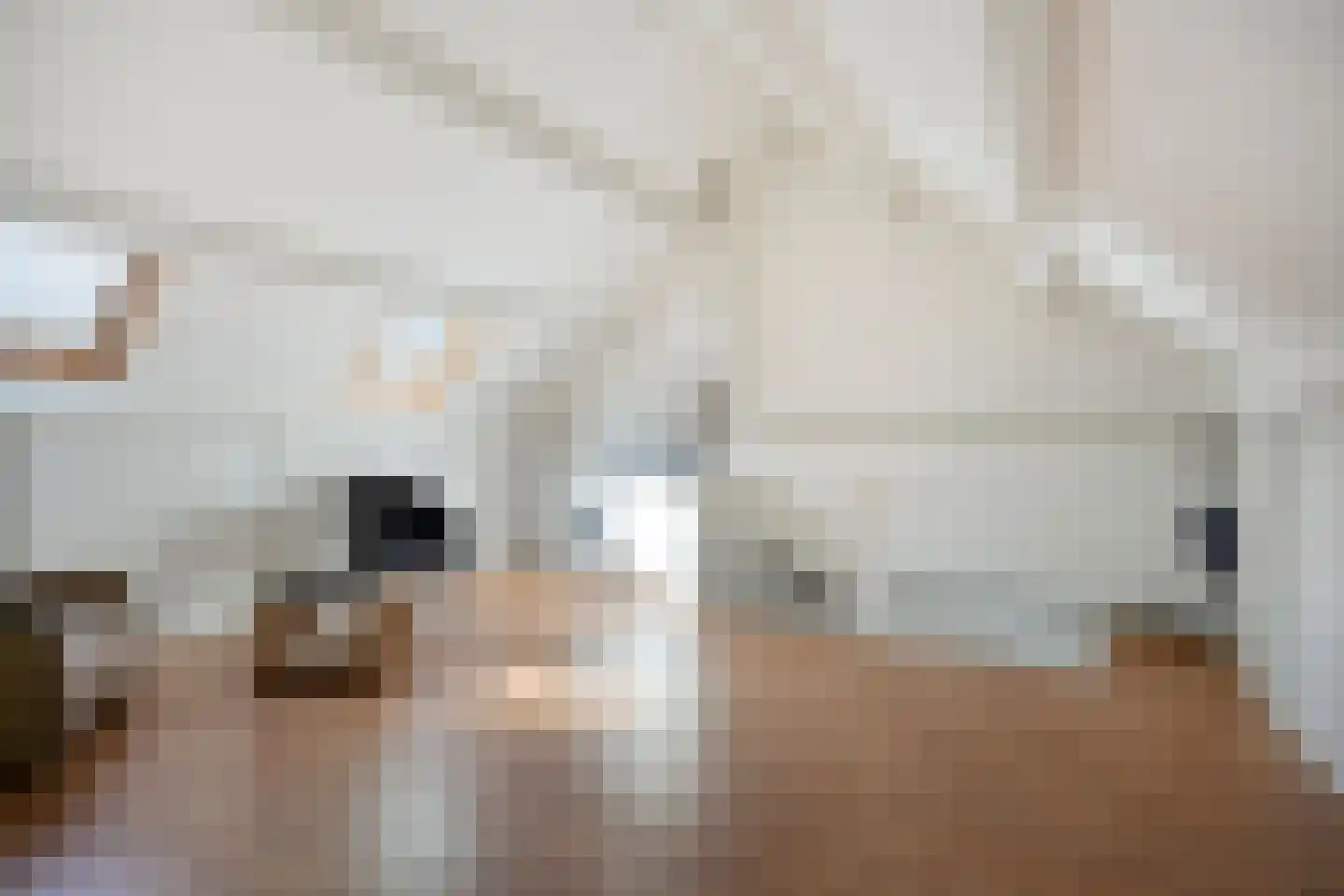 Aakwerf 8 Gouda thumbnail 37