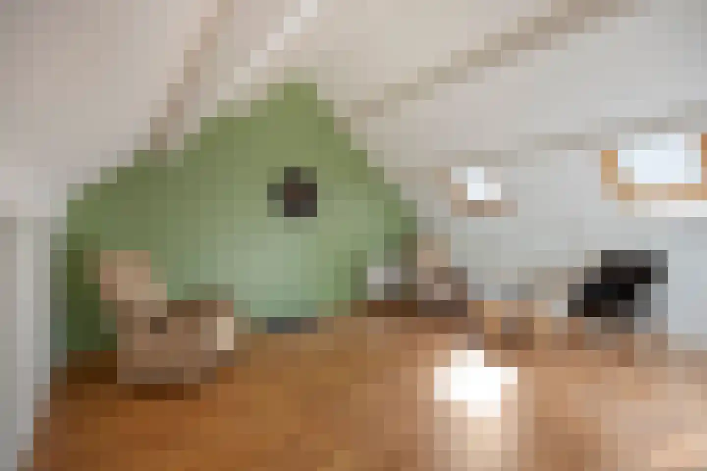 Aakwerf 8 Gouda thumbnail 39