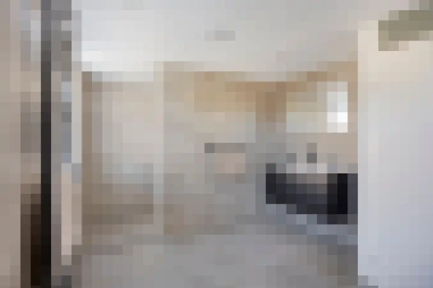 Aakwerf 8 Gouda thumbnail 4