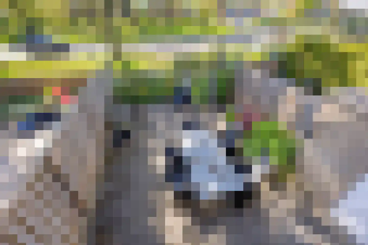 Aakwerf 8 Gouda thumbnail 40