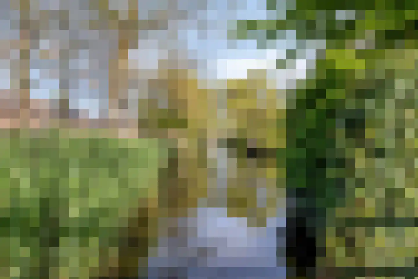Aakwerf 8 Gouda thumbnail 44