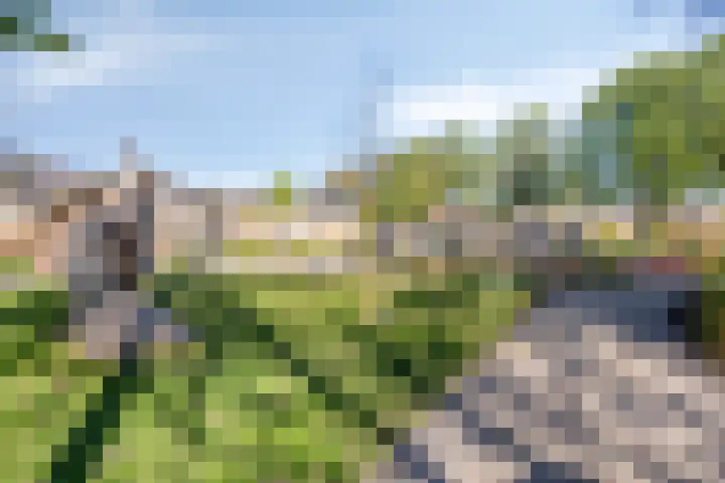 Aakwerf 8 Gouda thumbnail 45