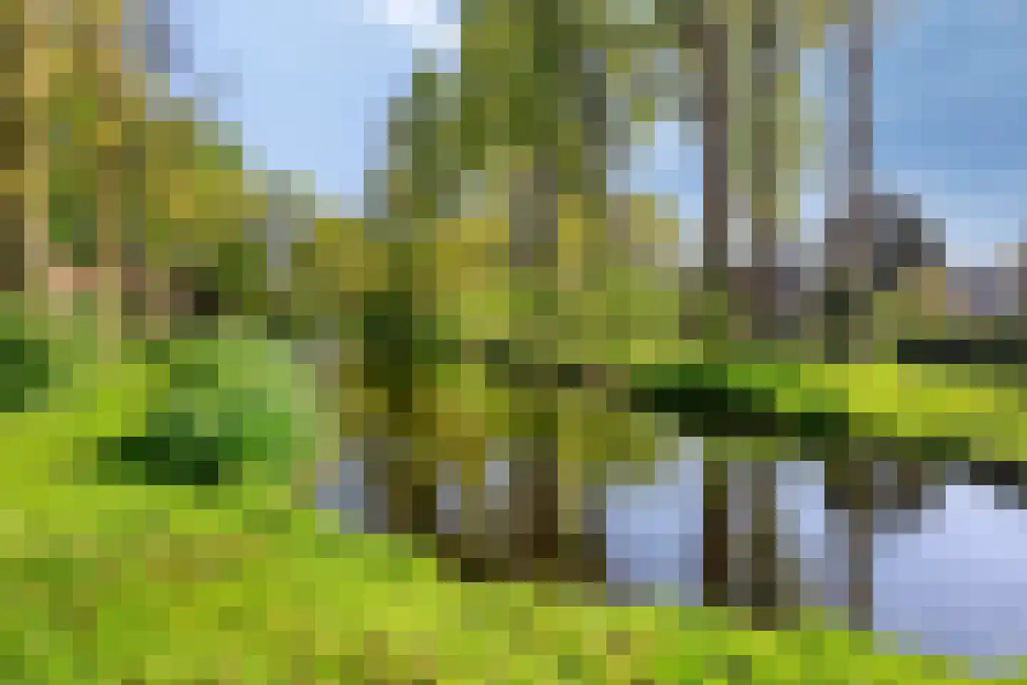 Aakwerf 8 Gouda thumbnail 46