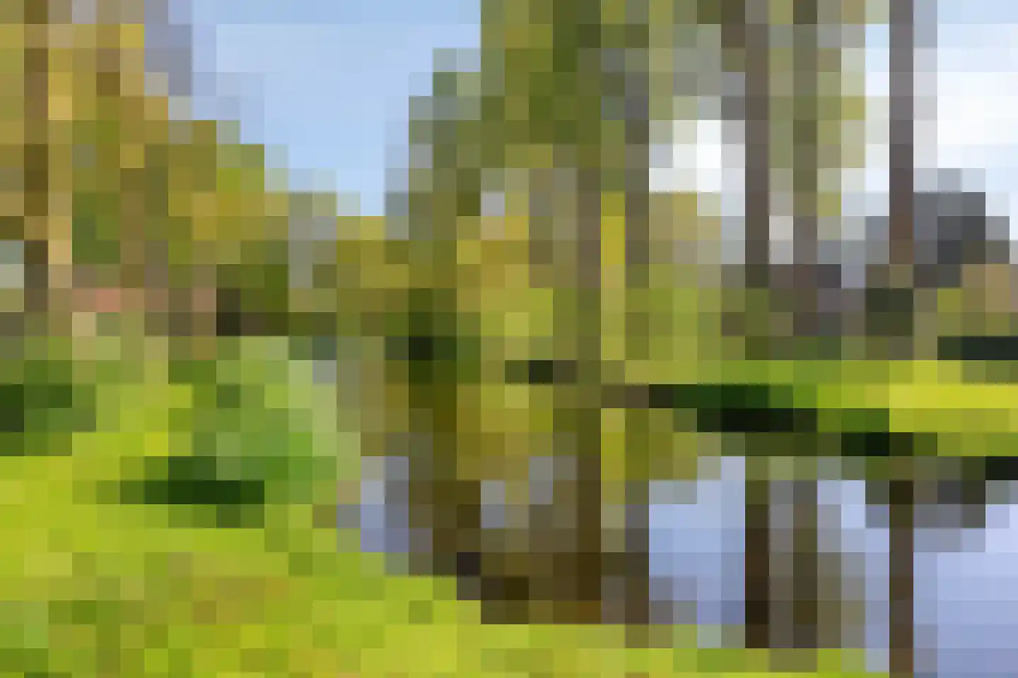 Aakwerf 8 Gouda thumbnail 47