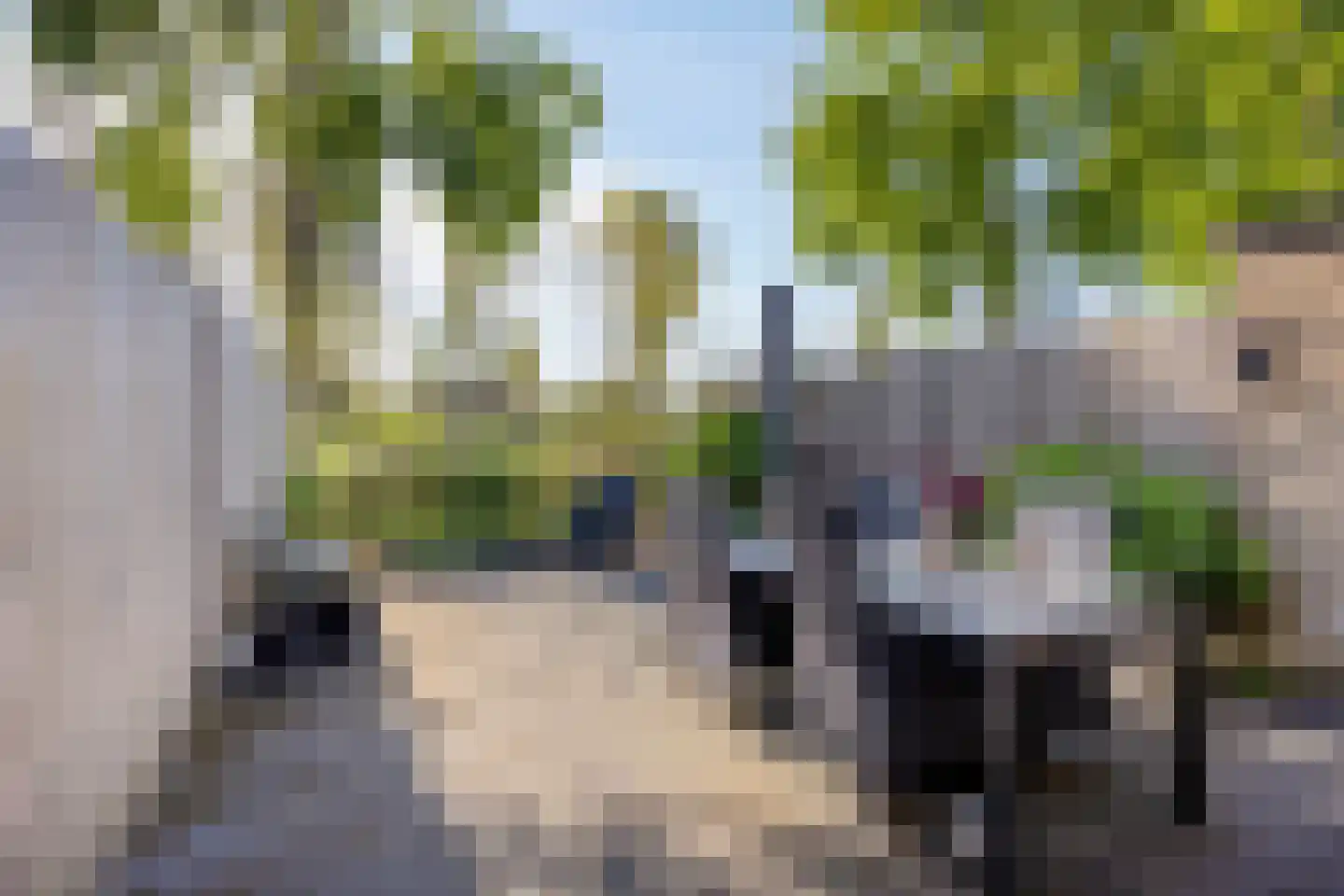 Aakwerf 8 Gouda thumbnail 5