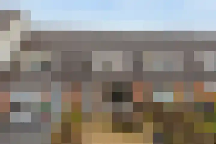 Aakwerf 8 Zoetermeer thumbnail 14