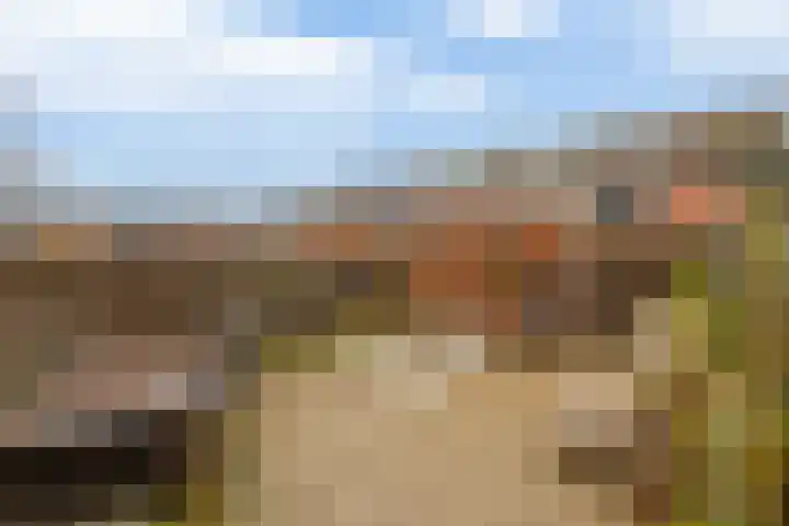 Aakwerf 8 Zoetermeer thumbnail 15