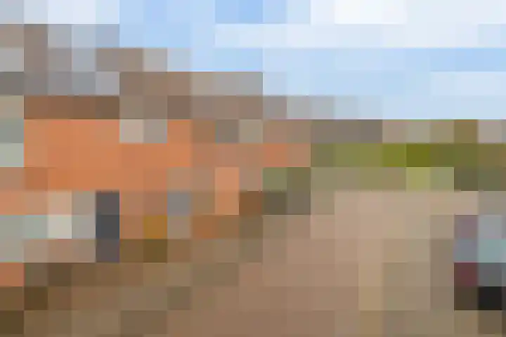 Aakwerf 8 Zoetermeer thumbnail 33