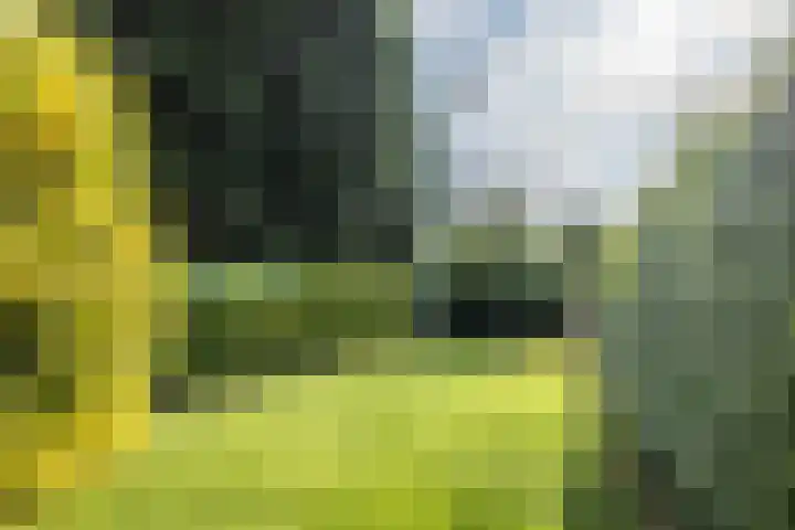 Aalbekerweg 12 Hulsberg thumbnail 30