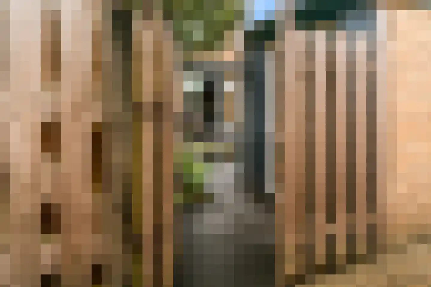 Aalberse-lanen 18 Woerden thumbnail 37
