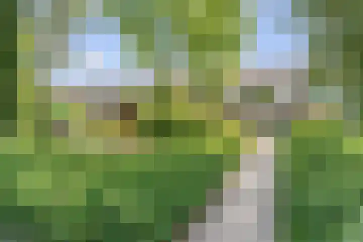 Aalberse-lanen 70 Woerden thumbnail 4