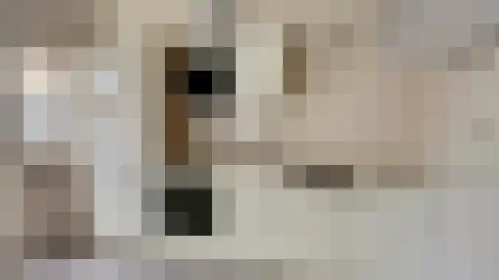 Aalbersehof 23 Almelo thumbnail 9