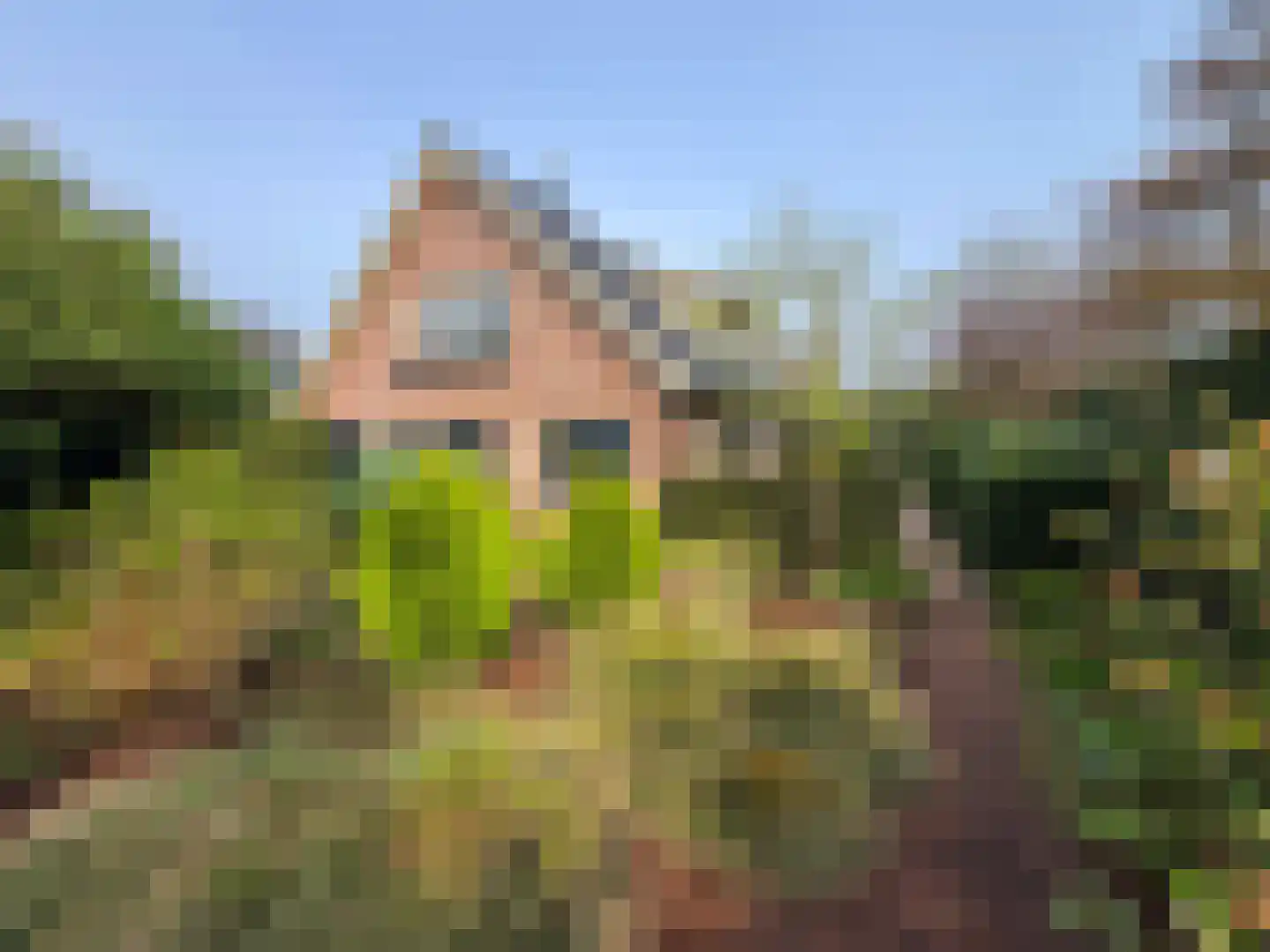 Aalberselaan 2 Huizen