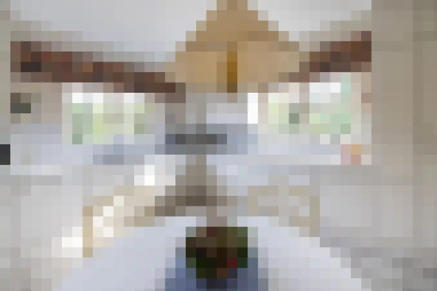Aalberselaan 2 Huizen thumbnail 13