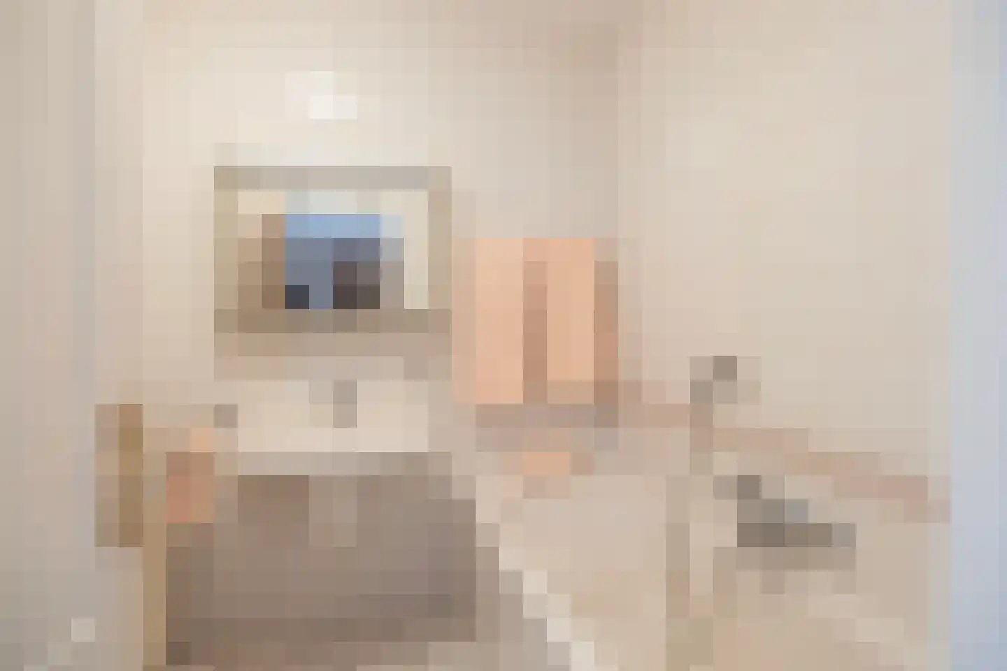 Aalberselaan 2 Huizen thumbnail 27