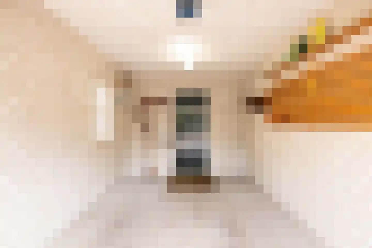 Aalberselaan 2 Huizen thumbnail 29