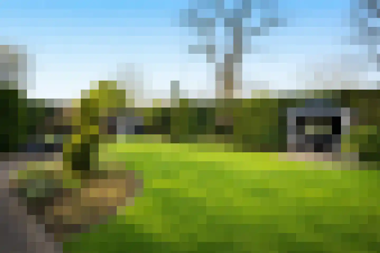 Aalberselaan 2 Huizen foto 3