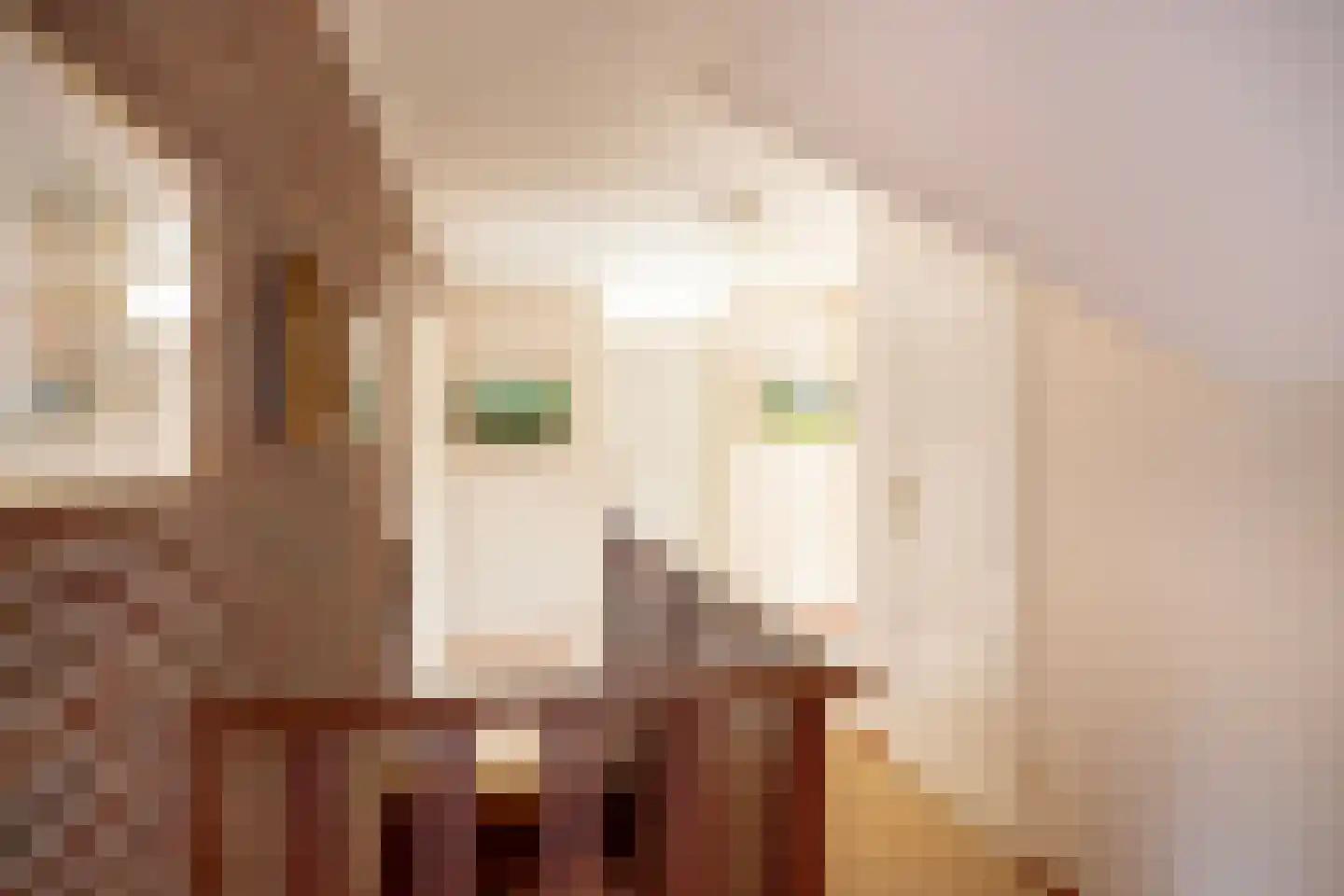 Aalberselaan 2 Huizen thumbnail 33