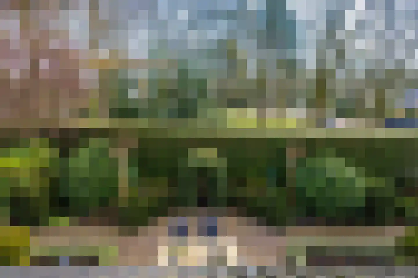 Aalberselaan 2 Huizen thumbnail 38