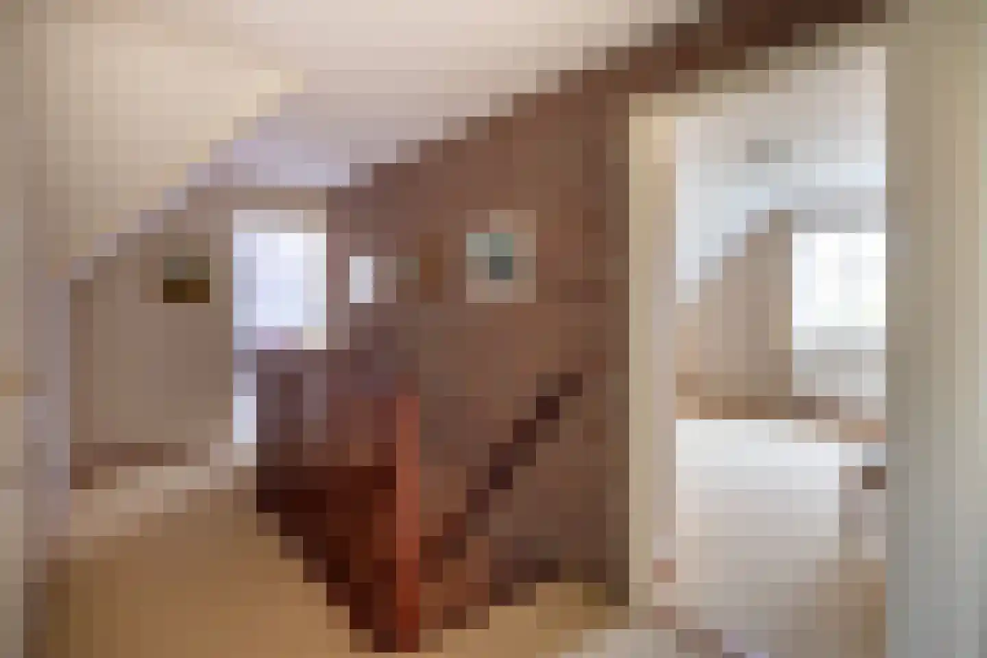 Aalberselaan 2 Huizen thumbnail 42