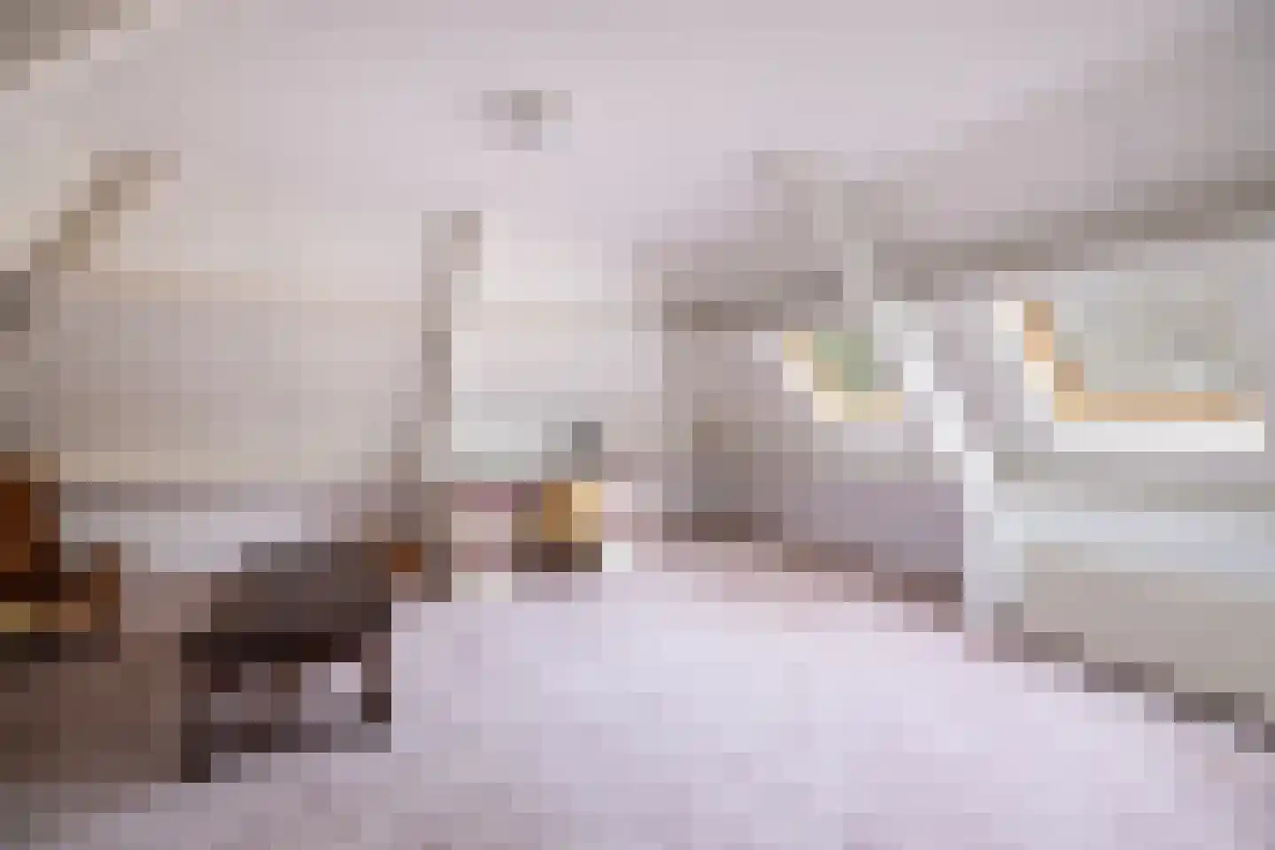 Aalberselaan 2 Huizen thumbnail 46