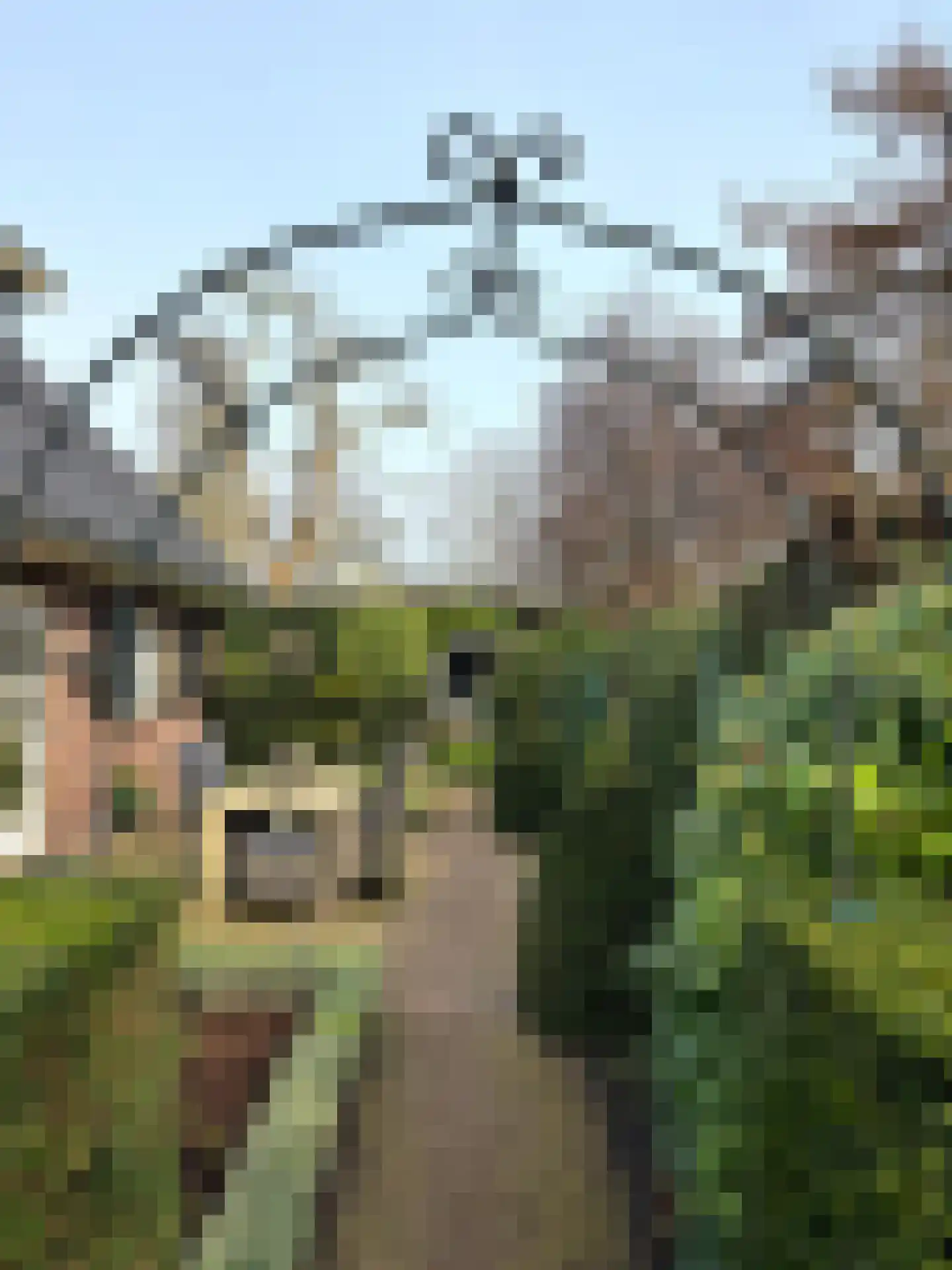 Aalberselaan 2 Huizen thumbnail 53