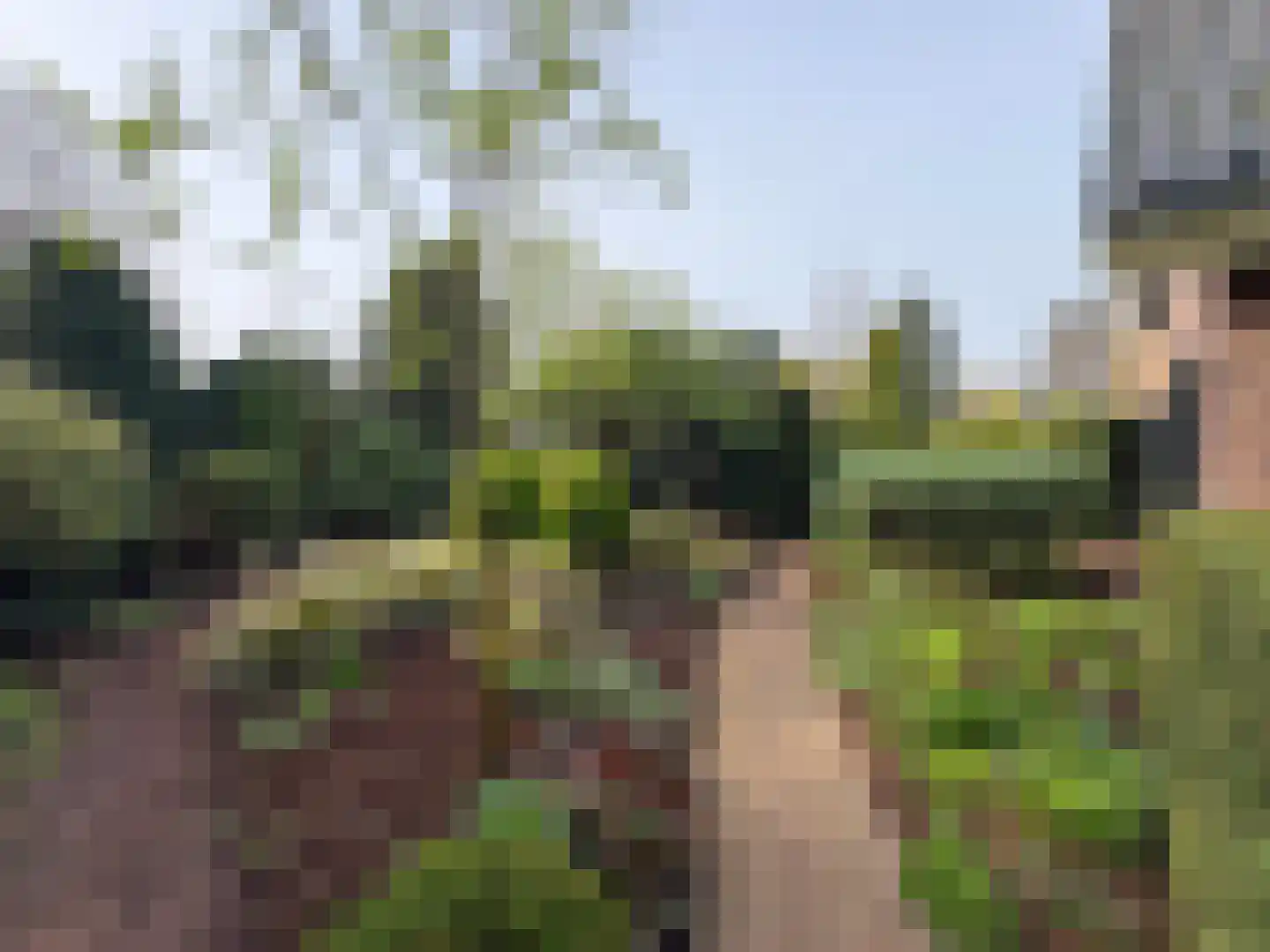 Aalberselaan 2 Huizen thumbnail 57
