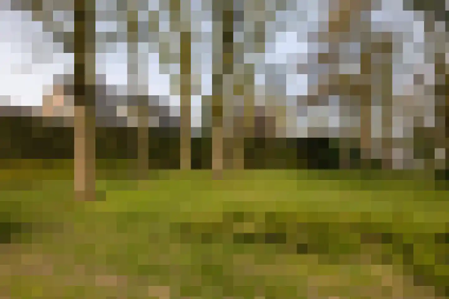 Aalberselaan 2 Huizen thumbnail 63