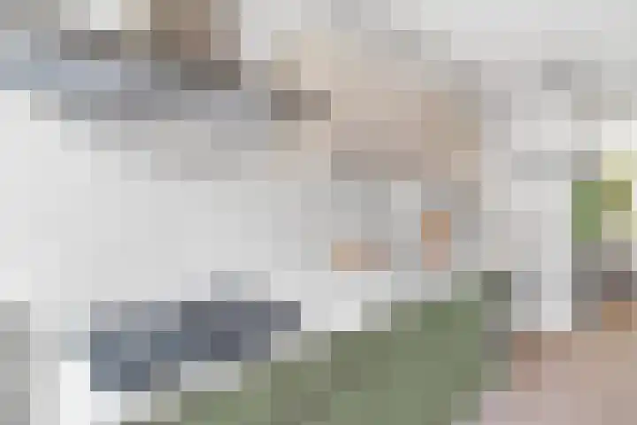 Aalberselaan 4 B Amersfoort thumbnail 11