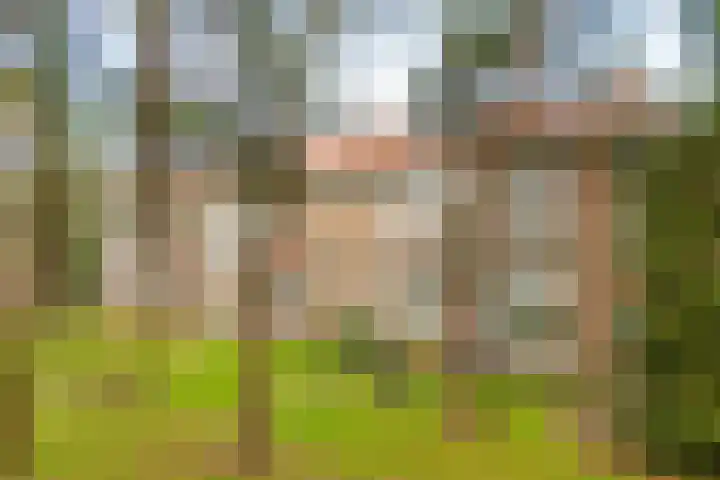 Aalberselaan 4 B Amersfoort thumbnail 22