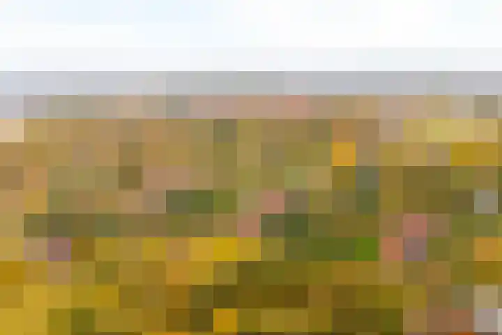 Aalberselaan 4 B Amersfoort thumbnail 24