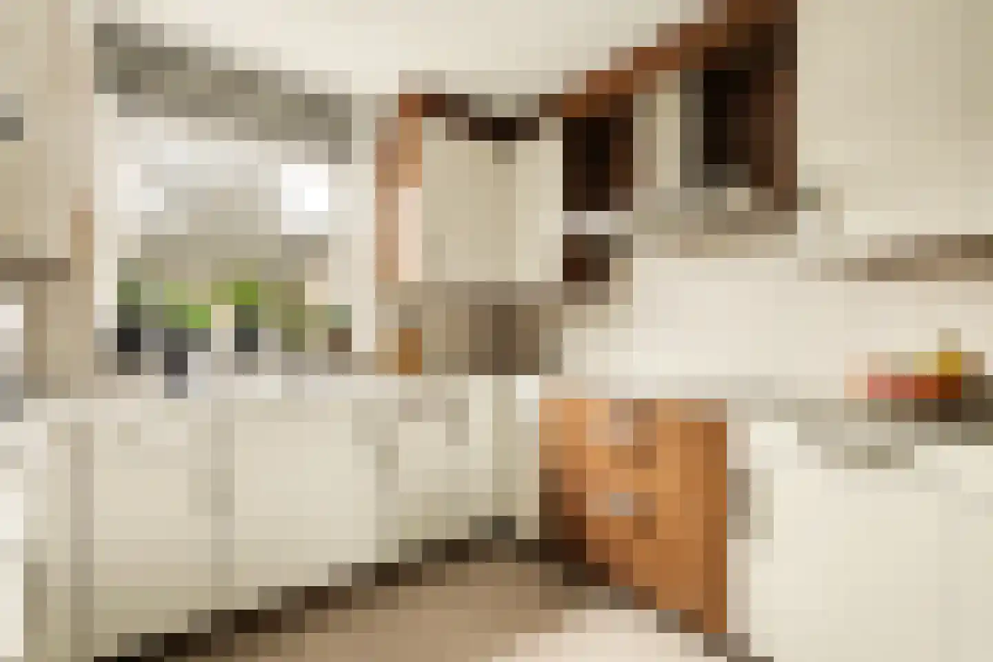 Aalbersestraat 10 Naaldwijk thumbnail 12